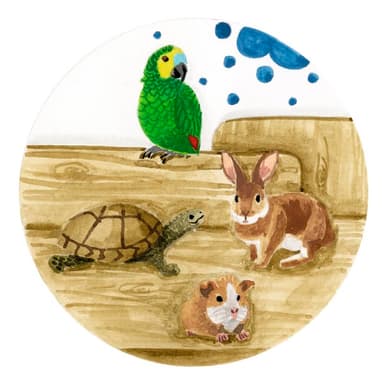 Alimentation Autres animaux