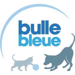 https://www.bullebleue.fr