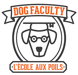 https://www.dogfaculty.com