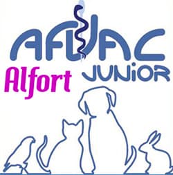https://afvacjr.wixsite.com/alfort